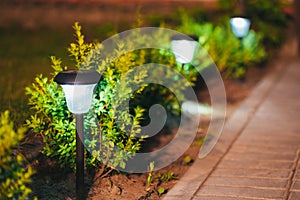 Small Solar Garden Light, Lantern In Flower Bed. Garden Design.