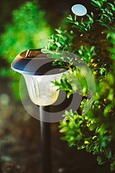 Small Solar Garden Light, Lantern In Flower Bed. Garden Design. Solar Powered Lamp