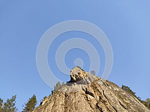 Small solitude mountain surrounded by trees under clear sky