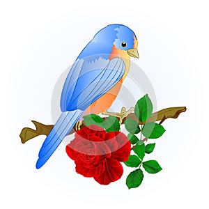 Small songbirdon Bluebird thrush and red rose spring background vintage vector illustration editable