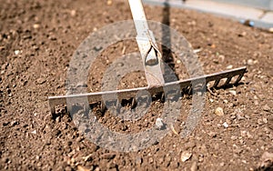 Small spade for hoeing plants in the garden