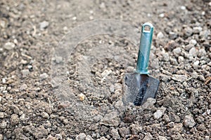 small spade for hoeing plants in the garden. a lot of land on the bed with soil in the garden