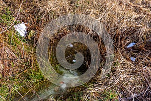 Small spring and puddle in the forest, with the garbage in water. Touristic pollution