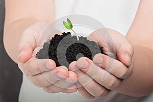 Small sprout in baby's hands