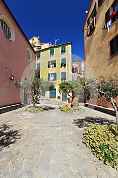 Small square in Sori