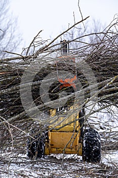 Small stand-on mini skid steer with grapple full of wooden branches