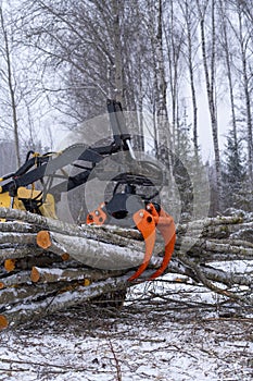 Small stand-on mini skid steer with grapple full of wooden logs