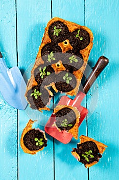 Small starter plats growing in yellow carton chicken egg box in black soil.