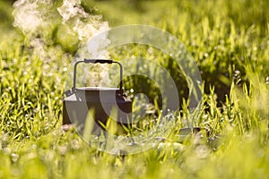 Small steel kettle is boiling on a gas burner amid a lush green