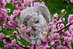 A small stone angel sits on a branch