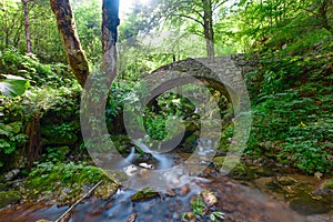 Small stone bridge in the forest