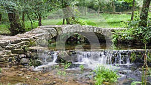 Small stone bridge over a small river in a forest