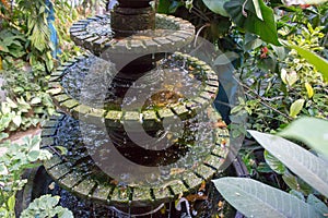 Small stone fountain in tropical garden. Fountain in vase in asian backyard. Zen and peace concept.