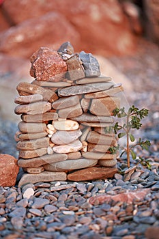 A small stone House construction with a tree in front of it on beach background