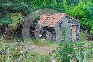 Small stone hut in Mtkvari river valley, Georg