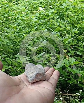 small stone on palm with green leaves