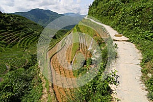 Small stone path in Longshen rice terraces