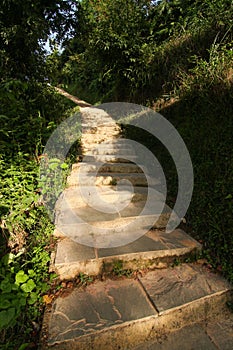 Small stone steps in forest