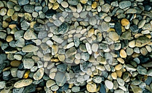 Small stone texture background. Pebble stone on the beach. River stone for garden decoration. Smooth texture gray rock with