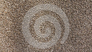 Small stones. background of white small stones