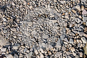 Small stones lying on the Bank of the river, the texture of pebbles