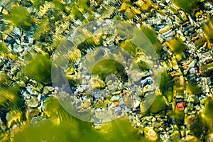 Small stones under water with algae