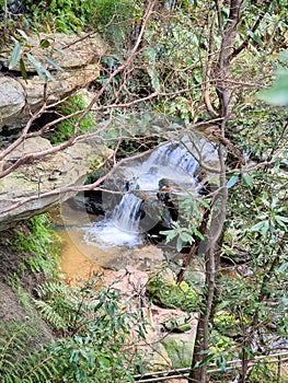 Small Stream and cascade at the top of the Leura Cascades in the Blue Mountains of New South Wales Australia