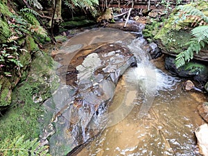 Small Stream and cascade at the top of the Leura Cascades in the Blue Mountains of New South Wales Australia