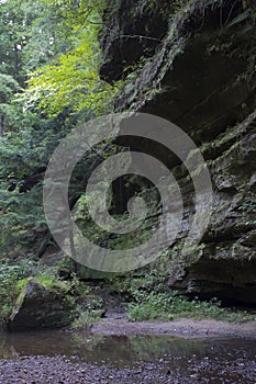 Small stream and cliff