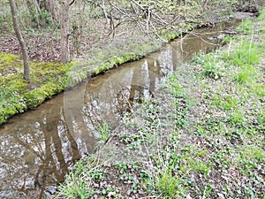 Small stream or creek or river and mud and grass