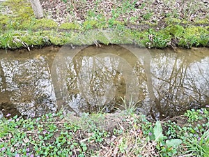 Small stream or creek or river and mud and grass