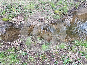 Small stream or creek or river and mud and grass