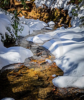 Small stream cuts through heavy snow in Glen Cannon in Pisgah Forest