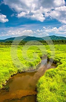 Small stream and distant mountains at Canaan Valley State Park,