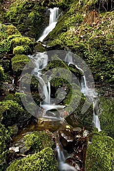 Small stream of falling water over moss and rocks