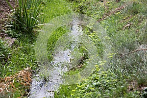 small stream flows through a notched green area