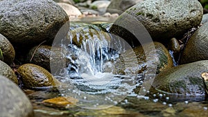 A small stream flows over smooth rounded rocks creating a gentle waterfall