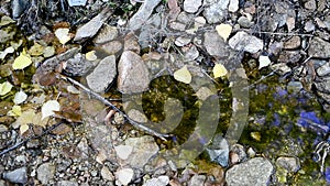 A small stream flows among the stones.