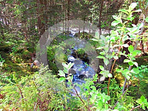 Small stream that further down the river meets