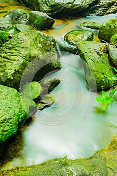 Small stream with gentle smoothing flowing water moves through mossy rocks in the natural water source