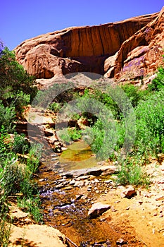 Small stream in Grandstaff Canyon Utah