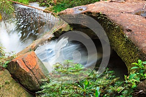 Small stream in jungle