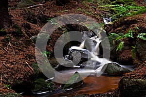 Small stream, leading through forest ground and stones with moss