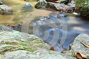 A small stream with long exposure