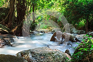 A small stream with long exposure