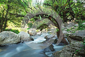 A small stream with long exposure