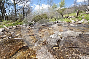 Small stream in Lozoya Valley