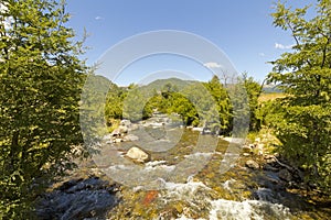 Small stream in Nalcas National Park, Chile