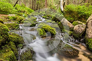 Small stream in Nizke Tatry mountains, Slovak