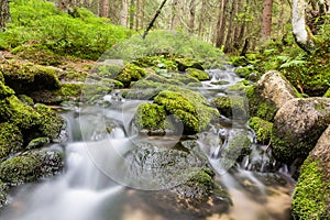 Small stream in Nizke Tatry mountains, Slovak